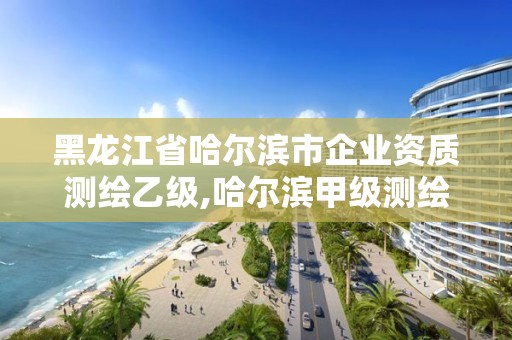 黑龍江省哈爾濱市企業資質測繪乙級,哈爾濱甲級測繪公司