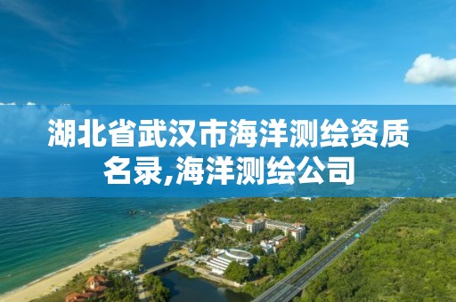 湖北省武漢市海洋測繪資質名錄,海洋測繪公司