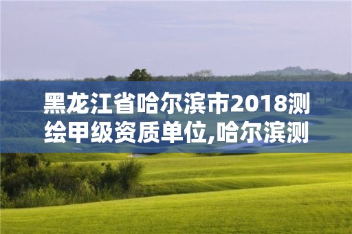 黑龍江省哈爾濱市2018測(cè)繪甲級(jí)資質(zhì)單位,哈爾濱測(cè)繪?？茖W(xué)校