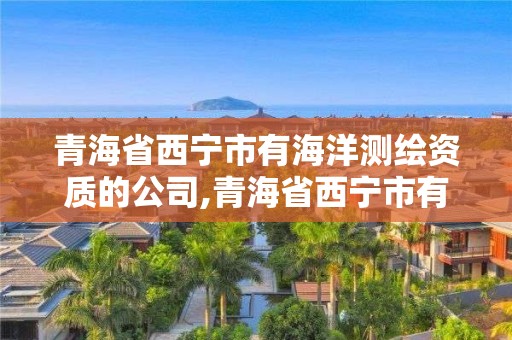 青海省西寧市有海洋測繪資質的公司,青海省西寧市有海洋測繪資質的公司有哪些