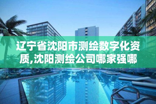 遼寧省沈陽市測繪數字化資質,沈陽測繪公司哪家強哪家好