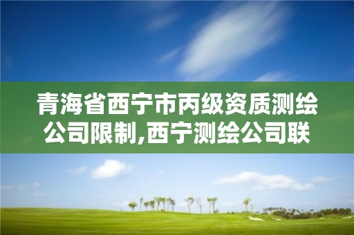 青海省西寧市丙級資質測繪公司限制,西寧測繪公司聯系方式