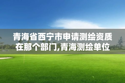 青海省西寧市申請測繪資質在那個部門,青海測繪單位