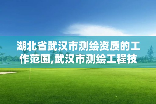 湖北省武漢市測繪資質的工作范圍,武漢市測繪工程技術規定