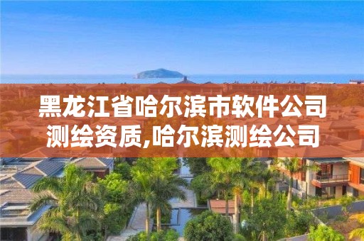 黑龍江省哈爾濱市軟件公司測(cè)繪資質(zhì),哈爾濱測(cè)繪公司招聘