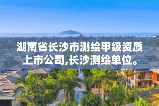 湖南省長(zhǎng)沙市測(cè)繪甲級(jí)資質(zhì)上市公司,長(zhǎng)沙測(cè)繪單位。