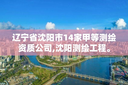 遼寧省沈陽市14家甲等測繪資質公司,沈陽測繪工程。