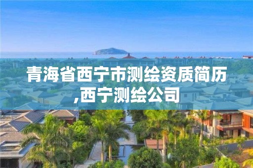 青海省西寧市測(cè)繪資質(zhì)簡(jiǎn)歷,西寧測(cè)繪公司