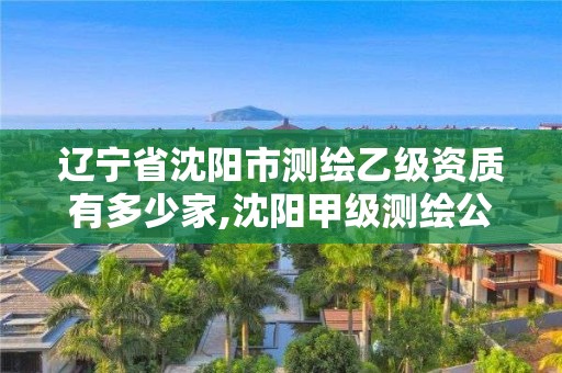 遼寧省沈陽市測繪乙級資質有多少家,沈陽甲級測繪公司