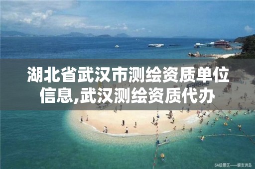 湖北省武漢市測繪資質單位信息,武漢測繪資質代辦