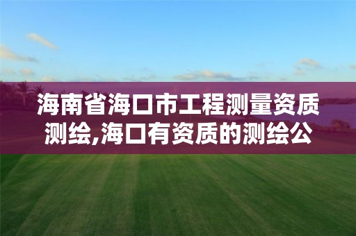 海南省?？谑泄こ虦y量資質測繪,?？谟匈Y質的測繪公司