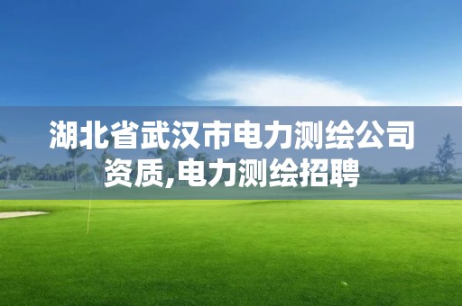 湖北省武漢市電力測(cè)繪公司資質(zhì),電力測(cè)繪招聘