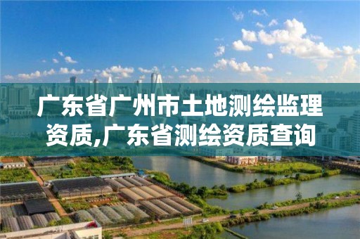 廣東省廣州市土地測繪監理資質,廣東省測繪資質查詢