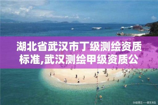 湖北省武漢市丁級測繪資質標準,武漢測繪甲級資質公司