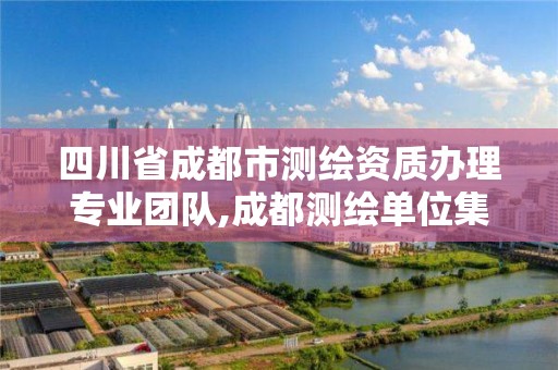 四川省成都市測繪資質辦理專業團隊,成都測繪單位集中在哪些地方