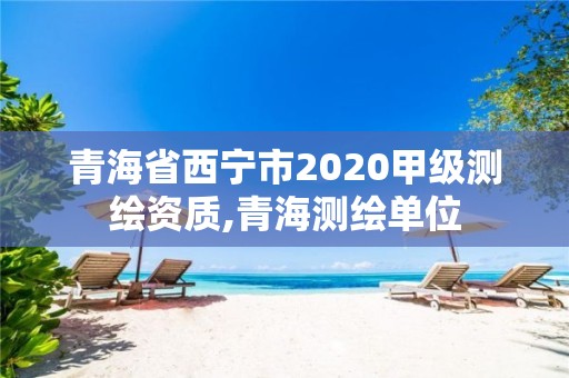 青海省西寧市2020甲級測繪資質,青海測繪單位