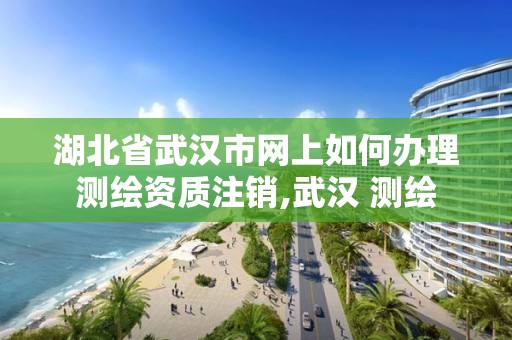 湖北省武漢市網上如何辦理測繪資質注銷,武漢 測繪