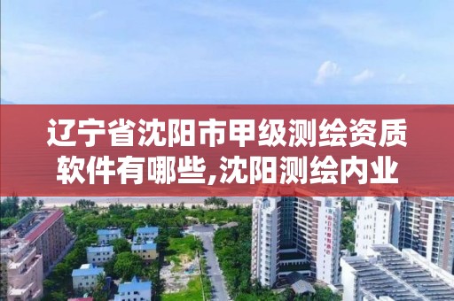 遼寧省沈陽市甲級測繪資質軟件有哪些,沈陽測繪內業招聘