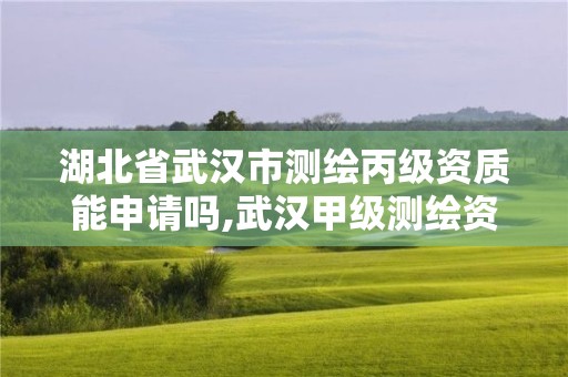 湖北省武漢市測(cè)繪丙級(jí)資質(zhì)能申請(qǐng)嗎,武漢甲級(jí)測(cè)繪資質(zhì)名錄