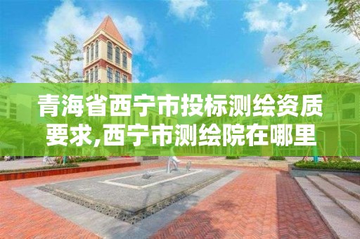 青海省西寧市投標測繪資質要求,西寧市測繪院在哪里