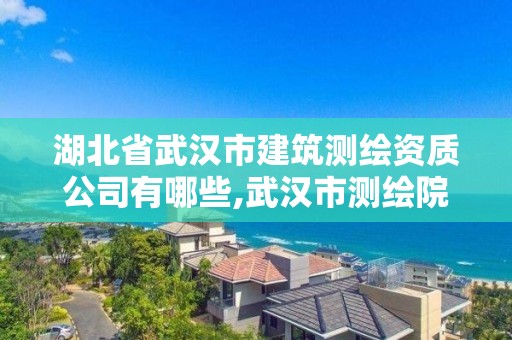 湖北省武漢市建筑測繪資質(zhì)公司有哪些,武漢市測繪院怎么樣