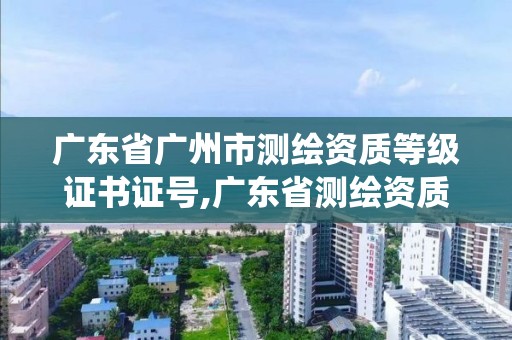 廣東省廣州市測繪資質等級證書證號,廣東省測繪資質管理系統。