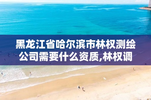 黑龍江省哈爾濱市林權測繪公司需要什么資質,林權調查 測繪資質。