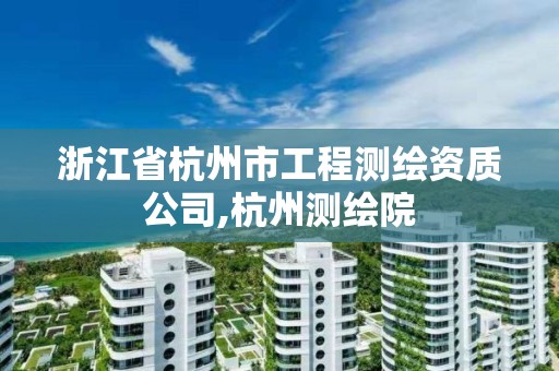 浙江省杭州市工程測繪資質公司,杭州測繪院