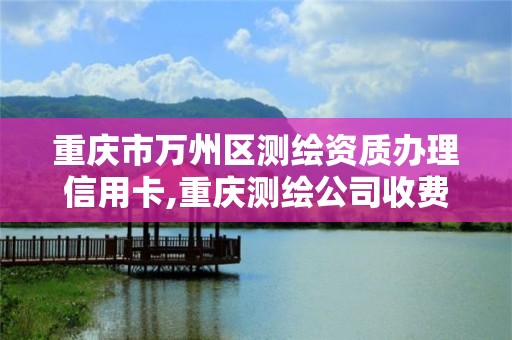 重慶市萬州區測繪資質辦理信用卡,重慶測繪公司收費標準