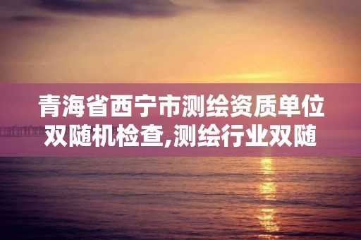 青海省西寧市測繪資質單位雙隨機檢查,測繪行業雙隨機檢查