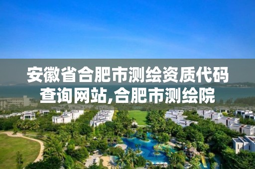 安徽省合肥市測繪資質代碼查詢網站,合肥市測繪院