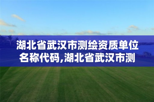 湖北省武漢市測繪資質單位名稱代碼,湖北省武漢市測繪資質單位名稱代碼是多少。