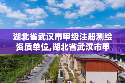 湖北省武漢市甲級注冊測繪資質單位,湖北省武漢市甲級注冊測繪資質單位有幾家