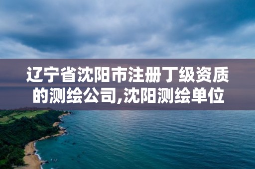 遼寧省沈陽市注冊丁級資質(zhì)的測繪公司,沈陽測繪單位招聘。