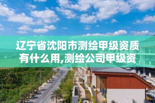 遼寧省沈陽市測繪甲級資質有什么用,測繪公司甲級資質是什么?