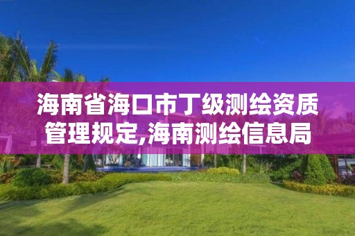 海南省海口市丁級測繪資質管理規定,海南測繪信息局