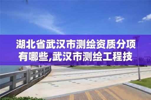 湖北省武漢市測繪資質分項有哪些,武漢市測繪工程技術規定