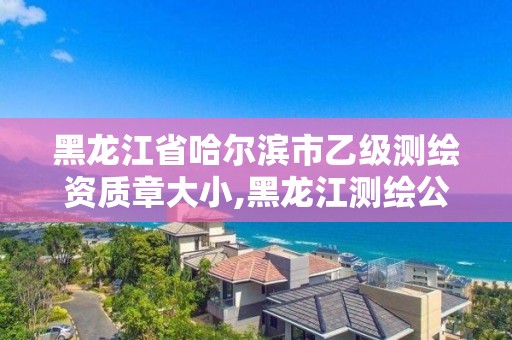 黑龍江省哈爾濱市乙級測繪資質章大小,黑龍江測繪公司乙級資質