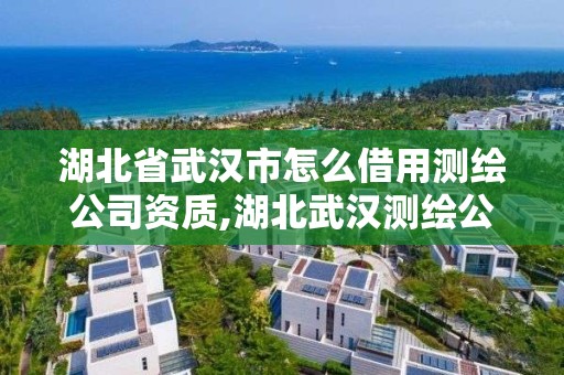 湖北省武漢市怎么借用測繪公司資質,湖北武漢測繪公司排行榜