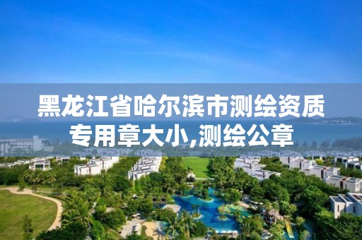 黑龍江省哈爾濱市測繪資質專用章大小,測繪公章