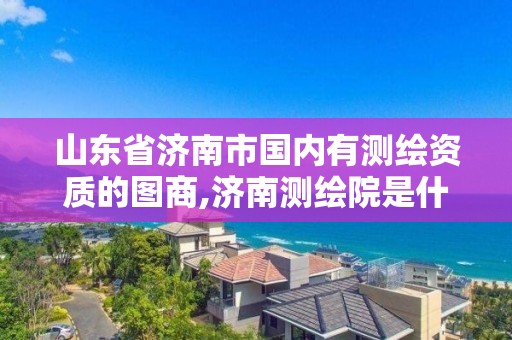 山東省濟南市國內(nèi)有測繪資質(zhì)的圖商,濟南測繪院是什么單位。