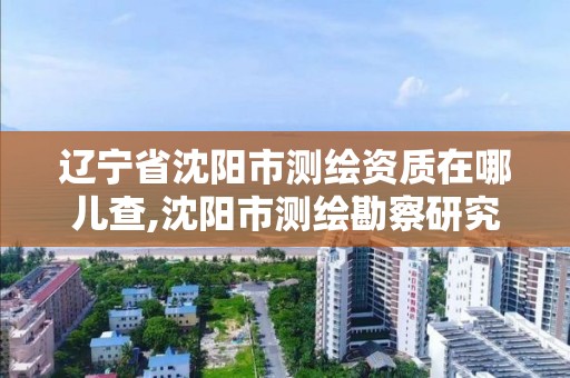 遼寧省沈陽市測繪資質在哪兒查,沈陽市測繪勘察研究院。