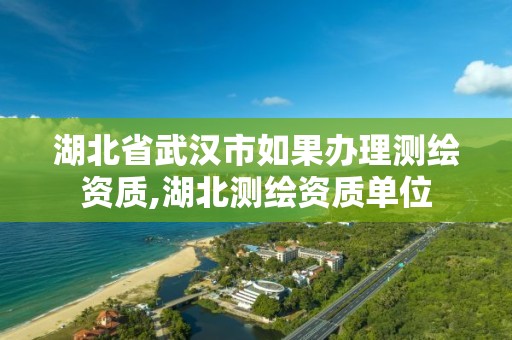 湖北省武漢市如果辦理測繪資質,湖北測繪資質單位