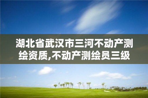 湖北省武漢市三河不動產測繪資質,不動產測繪員三級含金量高嗎?。