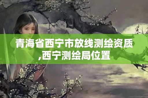 青海省西寧市放線測繪資質(zhì),西寧測繪局位置