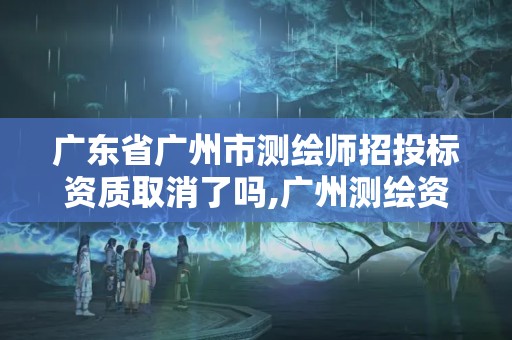 廣東省廣州市測繪師招投標資質取消了嗎,廣州測繪資質代辦。