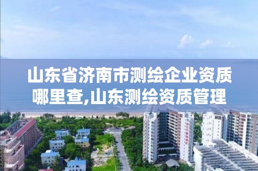 山東省濟南市測繪企業資質哪里查,山東測繪資質管理系統