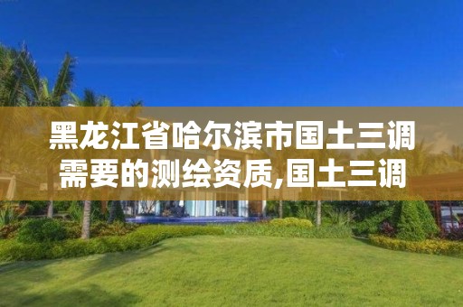 黑龍江省哈爾濱市國(guó)土三調(diào)需要的測(cè)繪資質(zhì),國(guó)土三調(diào)需要用的軟件。