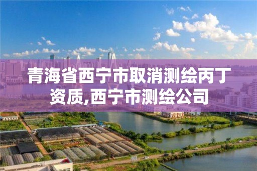 青海省西寧市取消測繪丙丁資質,西寧市測繪公司