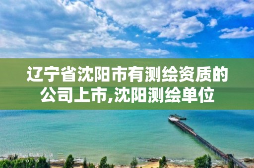 遼寧省沈陽市有測繪資質的公司上市,沈陽測繪單位